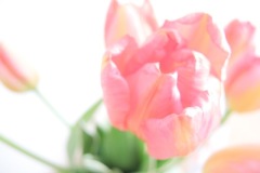 Unknown-1