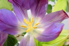 Unknown-10