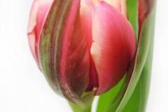 Unknown-3