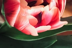 Unknown-4