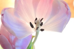 Unknown-5
