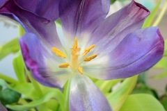 Unknown-6