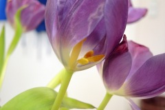 Unknown-7