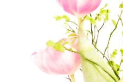 Unknown-9
